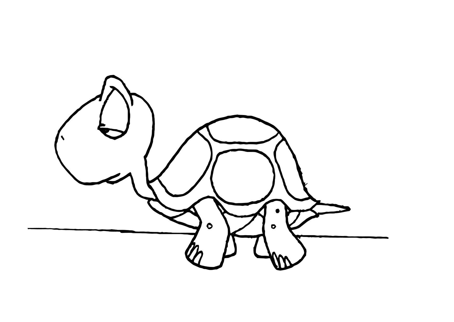 Coloring page turtle