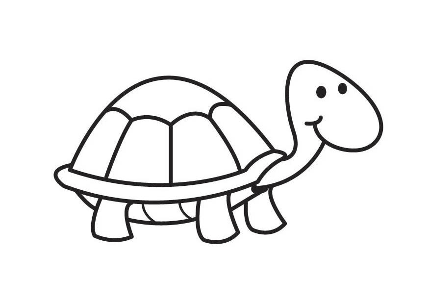 Coloring page turtle