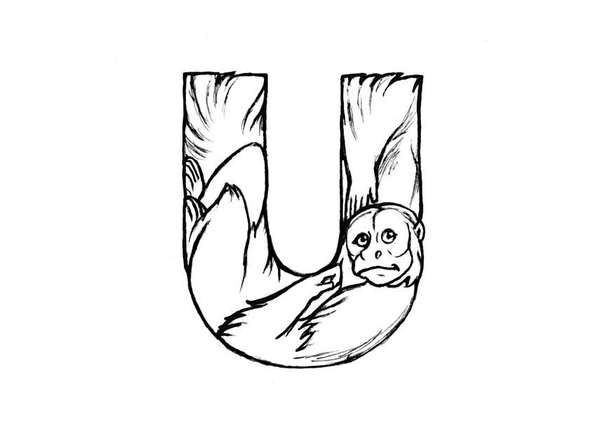 Coloring page u-uakari