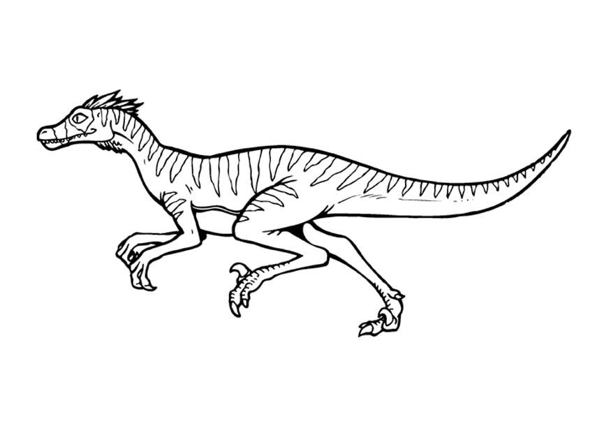 Coloring page velociraptor