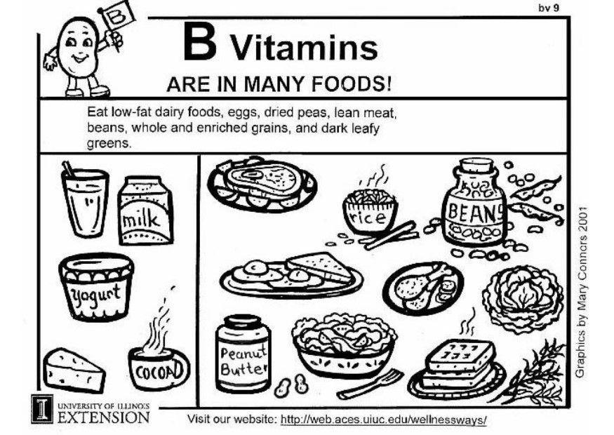 Coloring page vitamin b in food