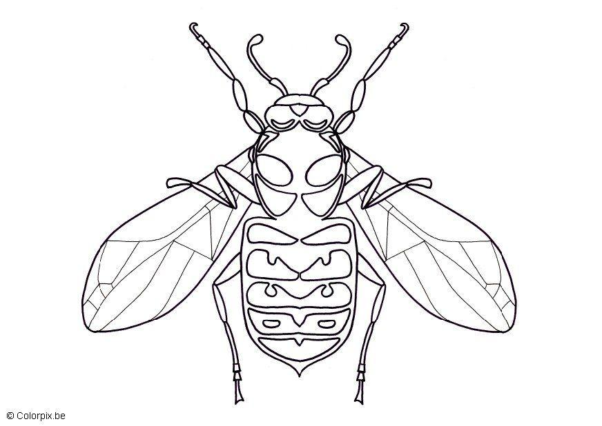 Coloring page wasp