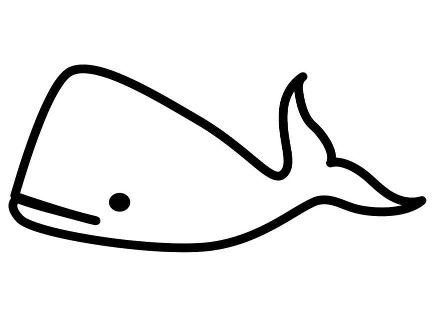 Coloring page whale