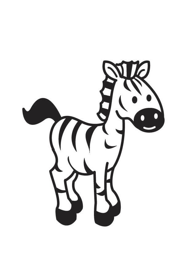 Coloring page zebra