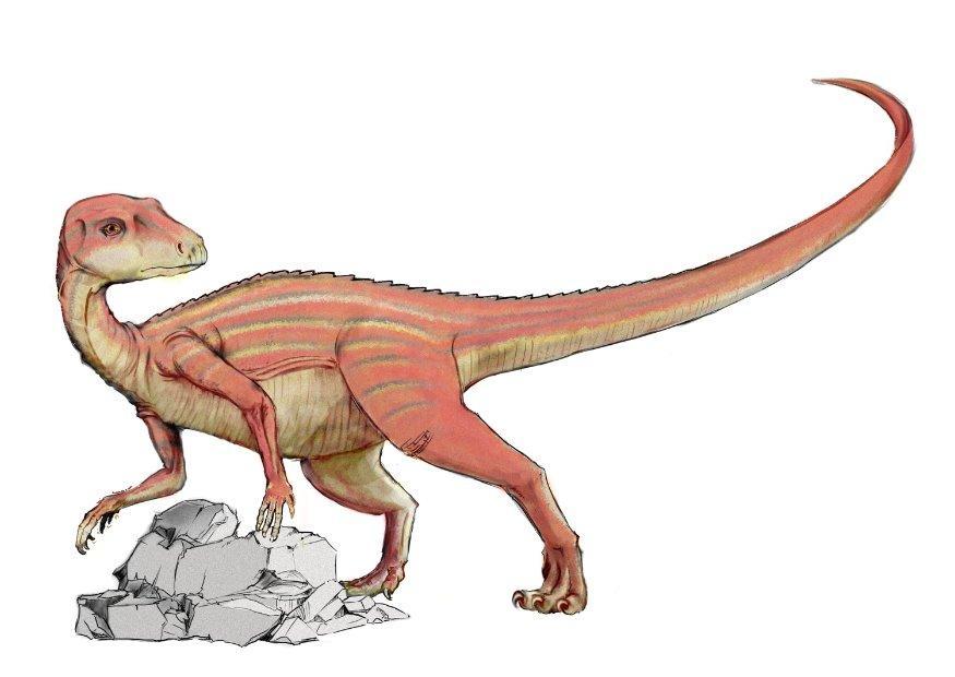 Image abrictosaur dinosaur