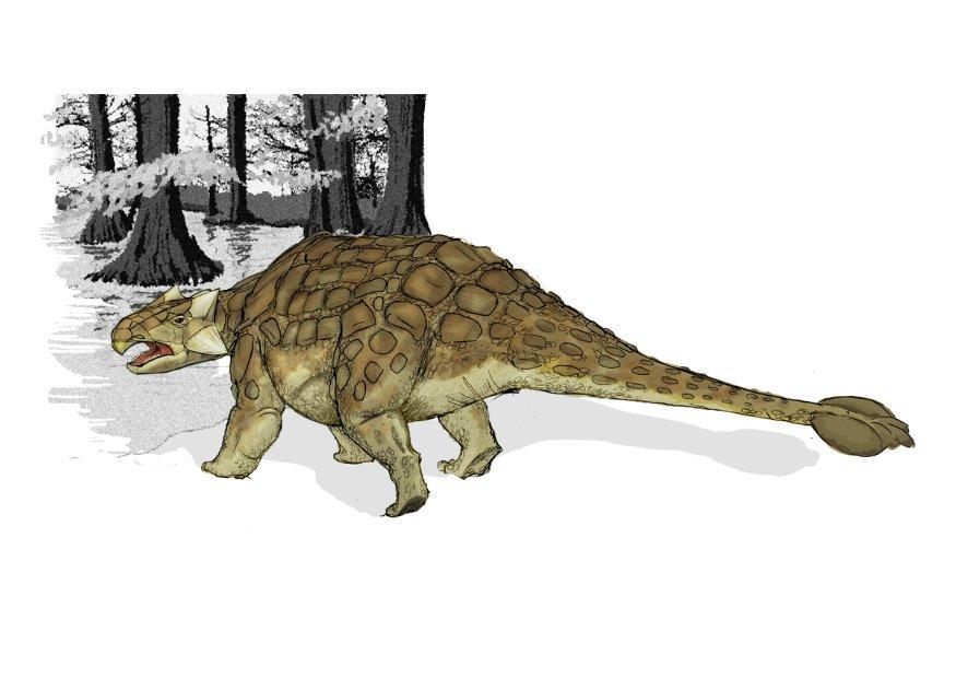 Image ankylosaur