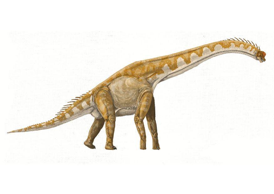 Image brachiosaur