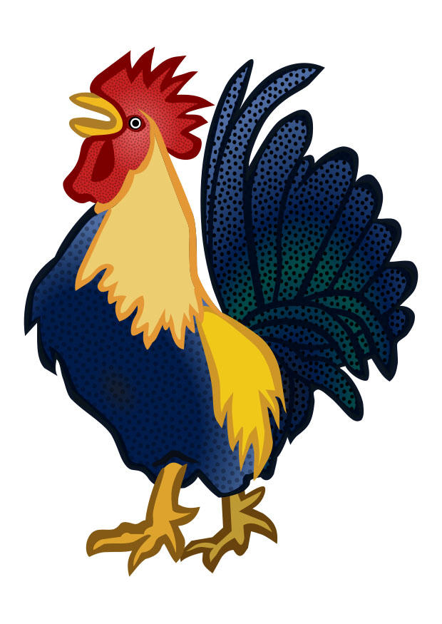 Image cockerel