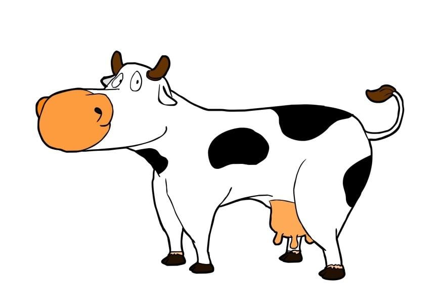 Image cow