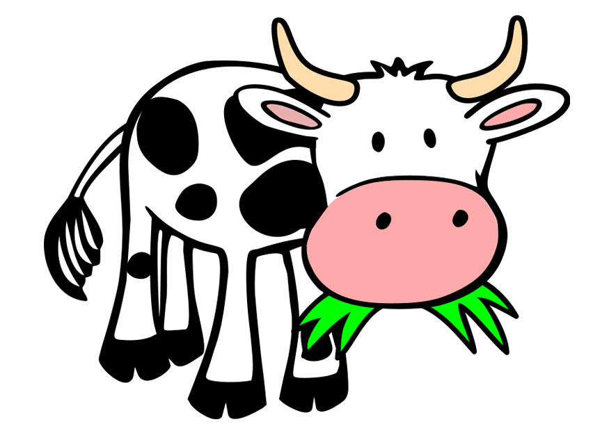 Image cow