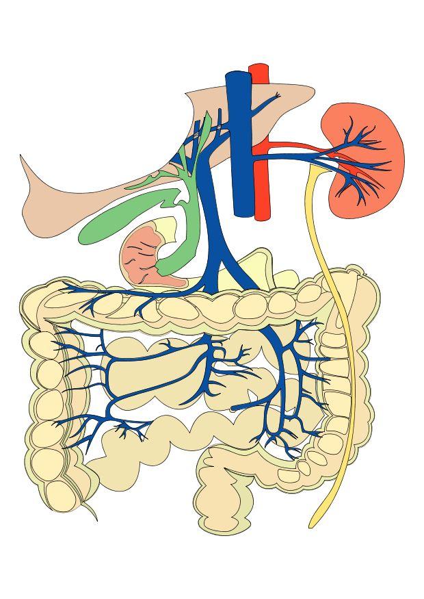 Image digestive system