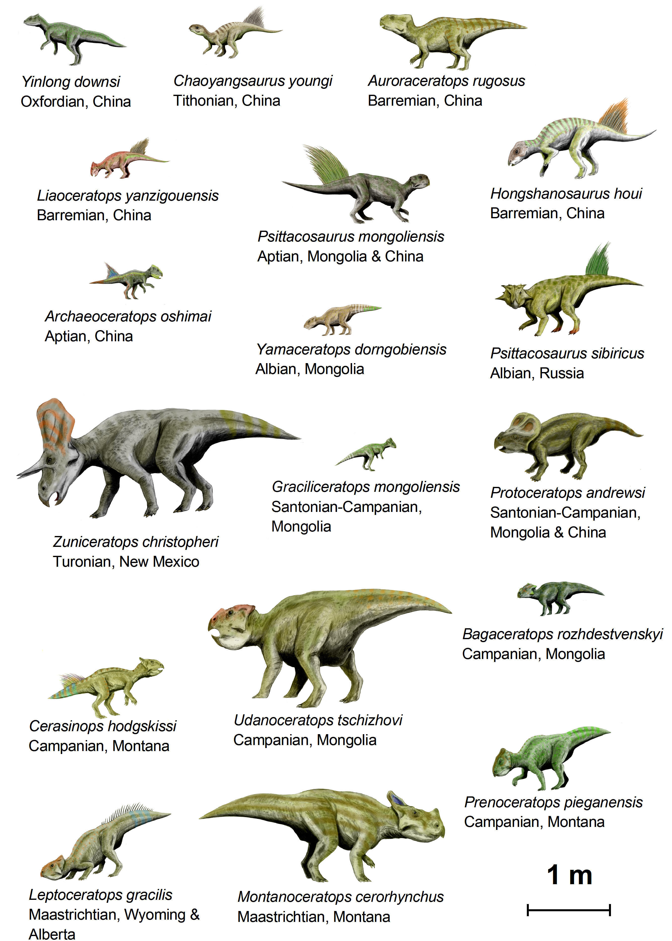 Image dinosaurs (basal ceratopsia)