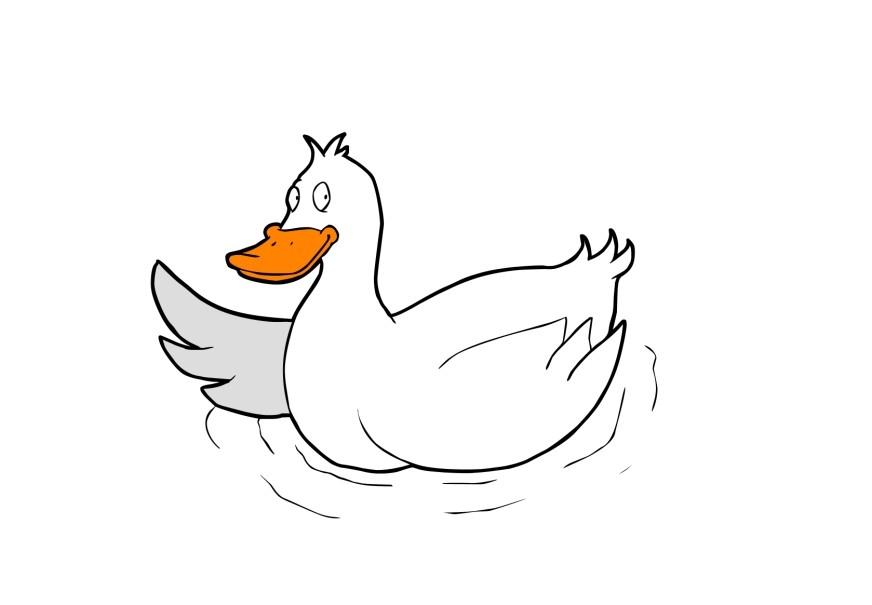 Image duck