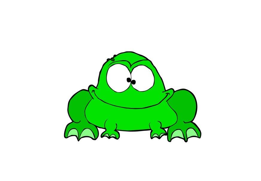 Image frog