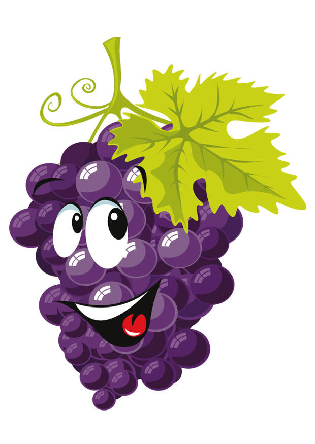 Image fruit - grapes