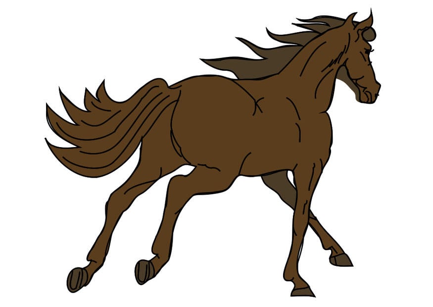 Image horse