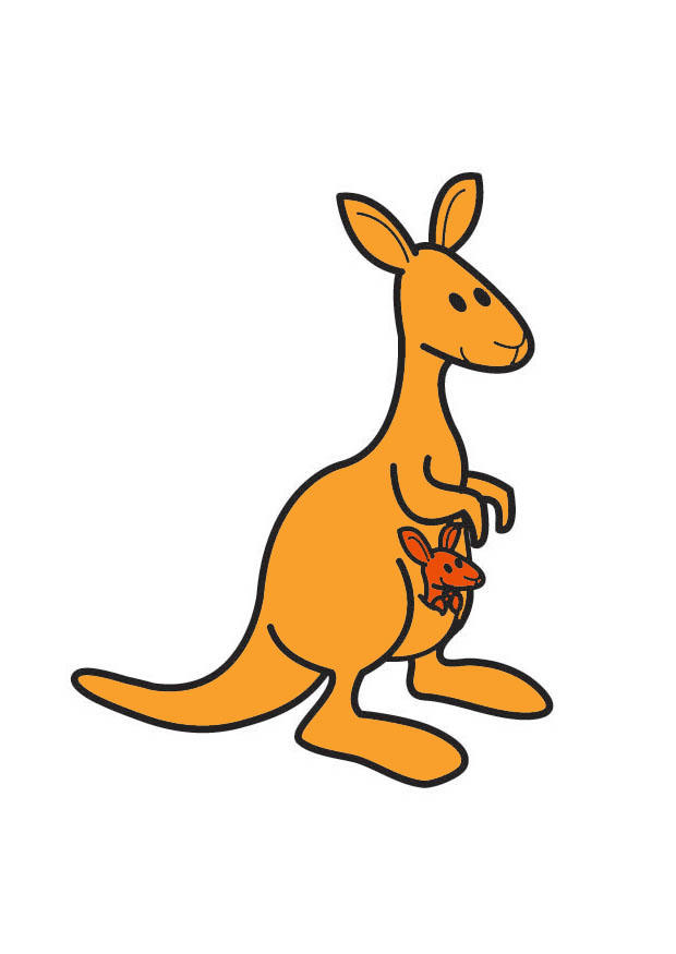 Image kangaroo