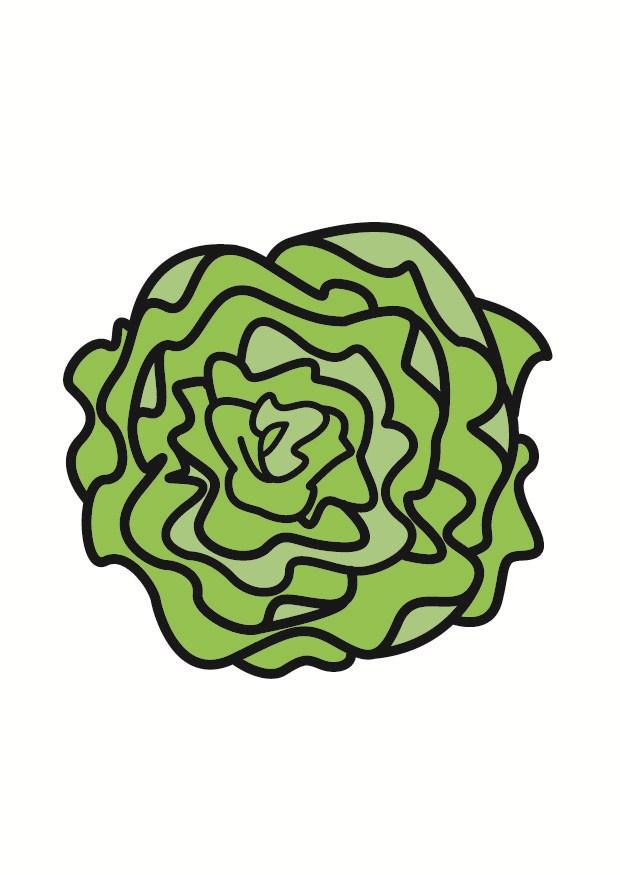 Image lettuce