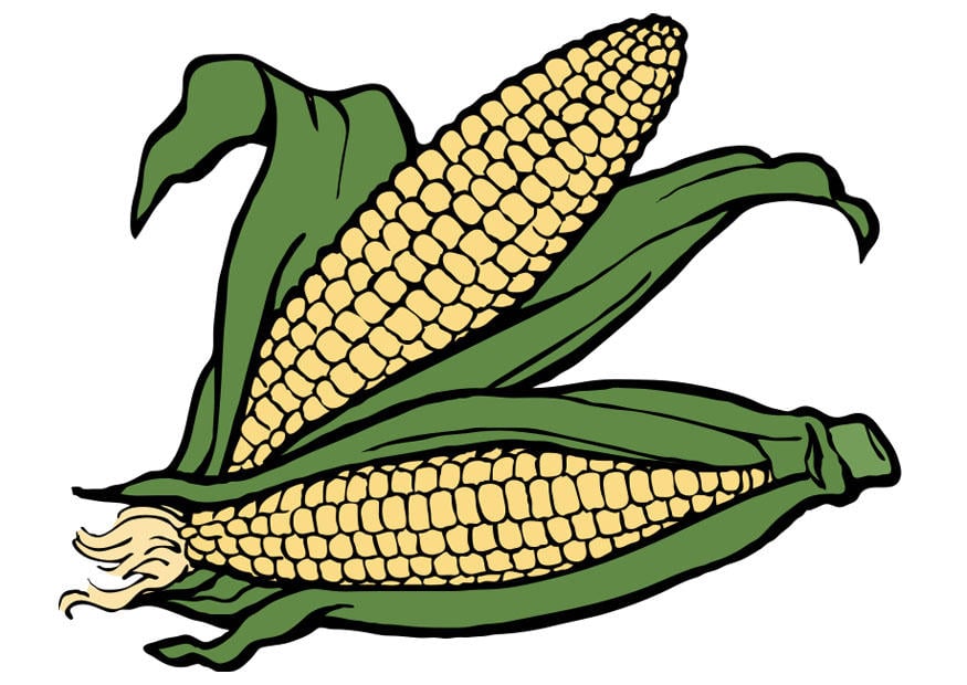 Image maize