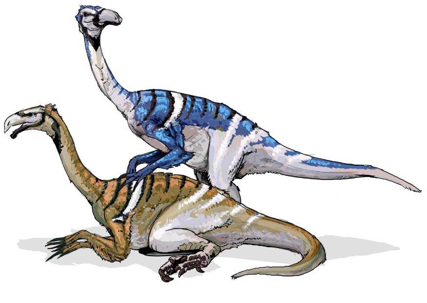 Image nanshuingosaur dinosaur