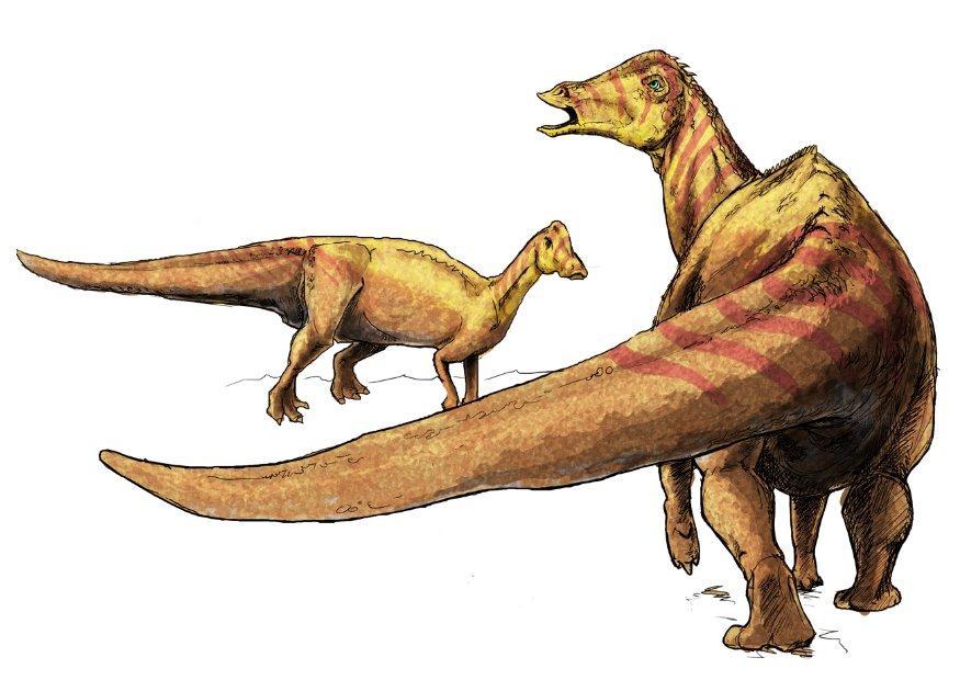 Image nipponosaur