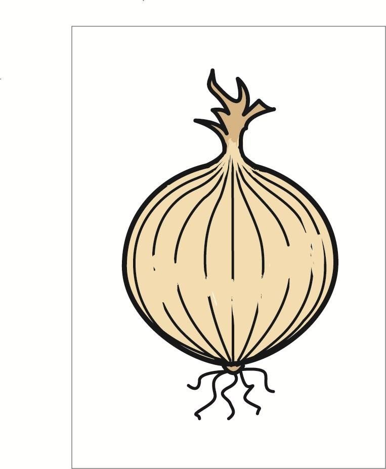 Image onion