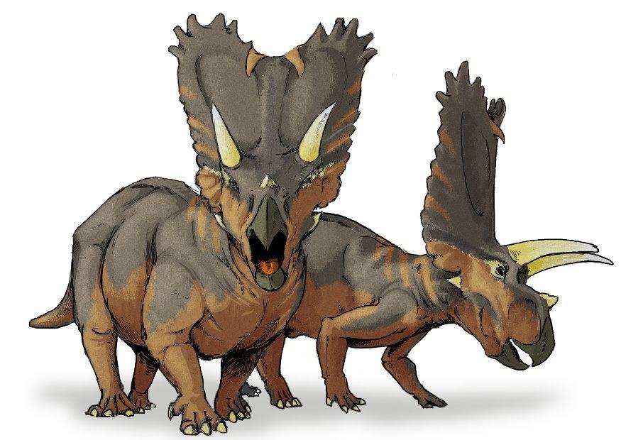 Image pentaceratops dinosaur