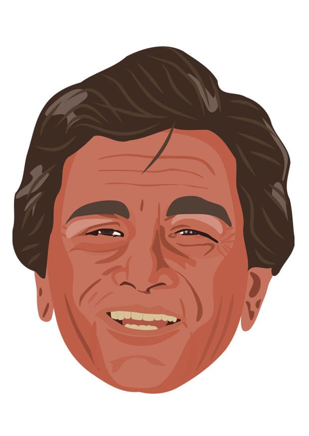 Image peter falk