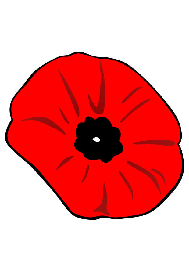 Image poppy