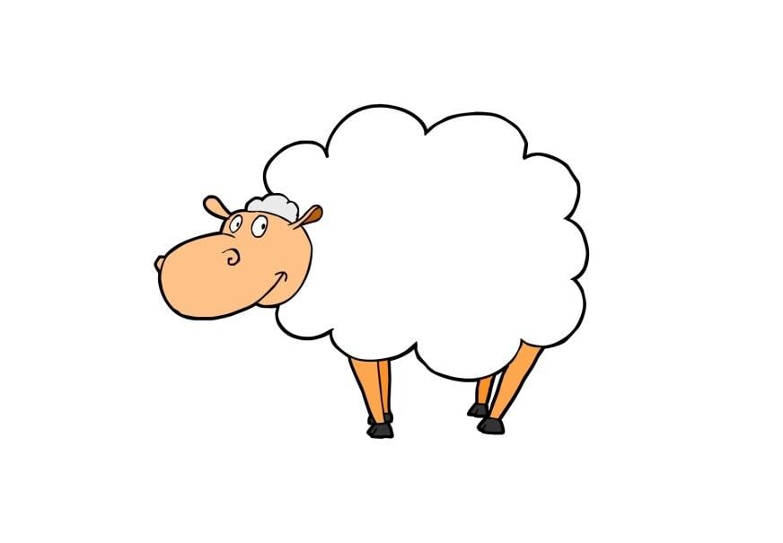 Image sheep