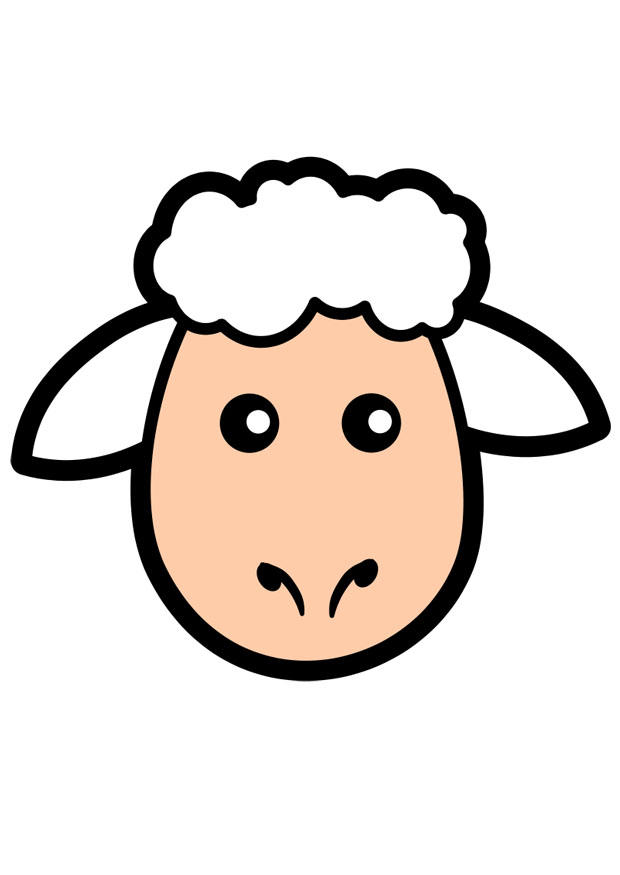 Image sheep