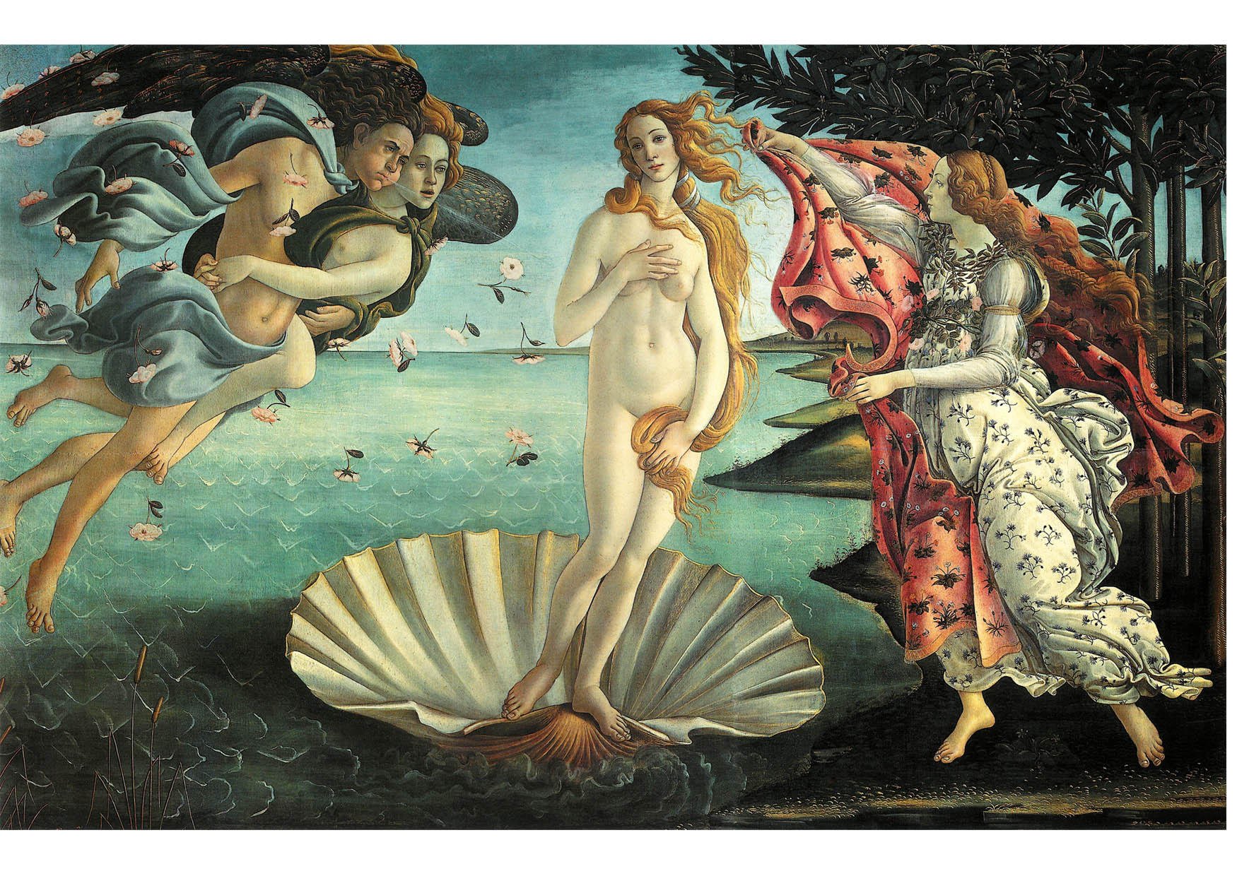 Image the birth of venus.