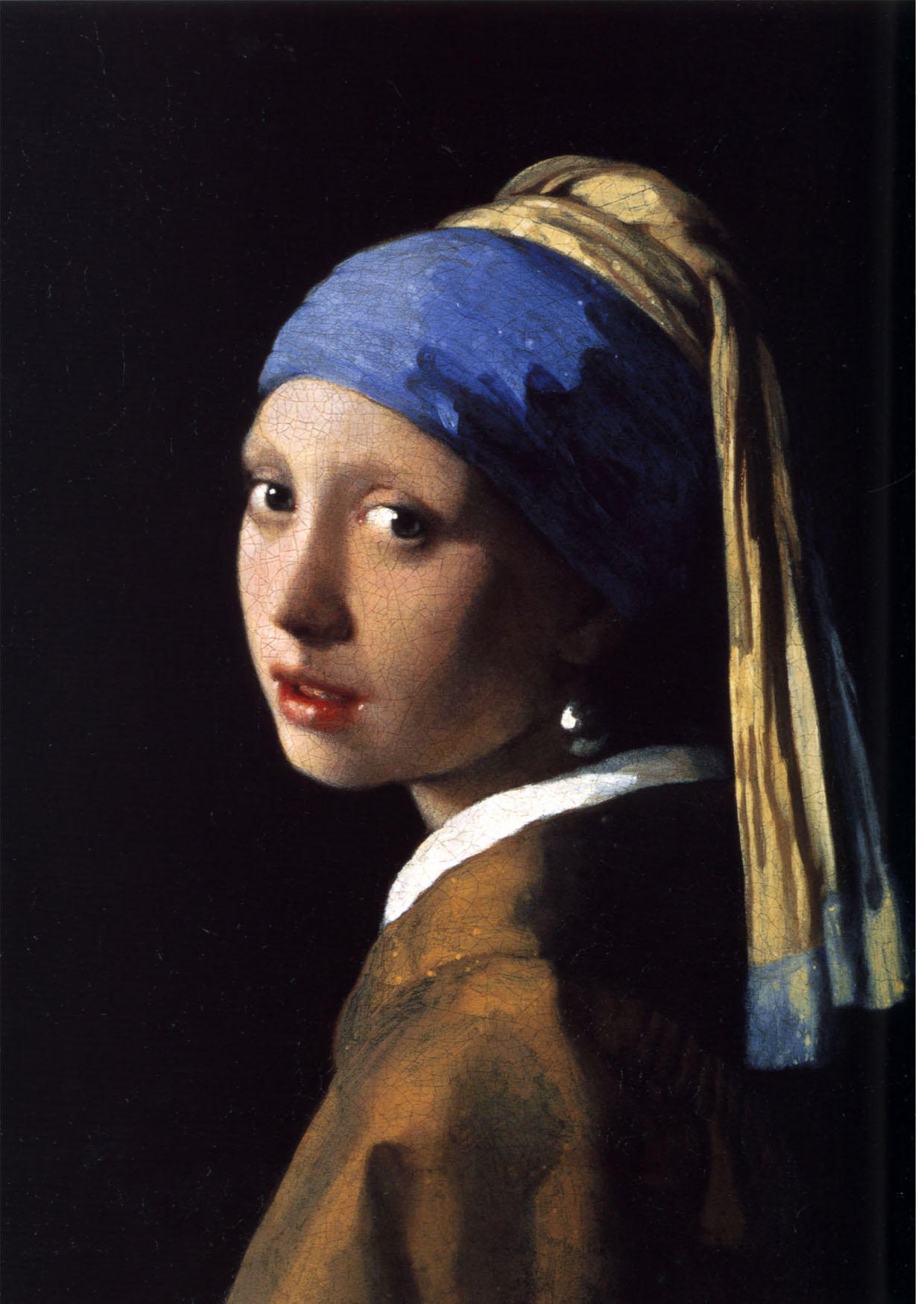 Image the girl with a pearl earring - johannes vermeer