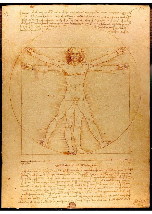 Image vitruvian man by leonardo da vinci.