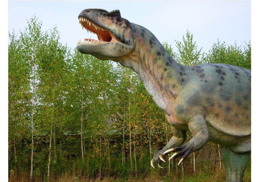 Photo allosaur replica