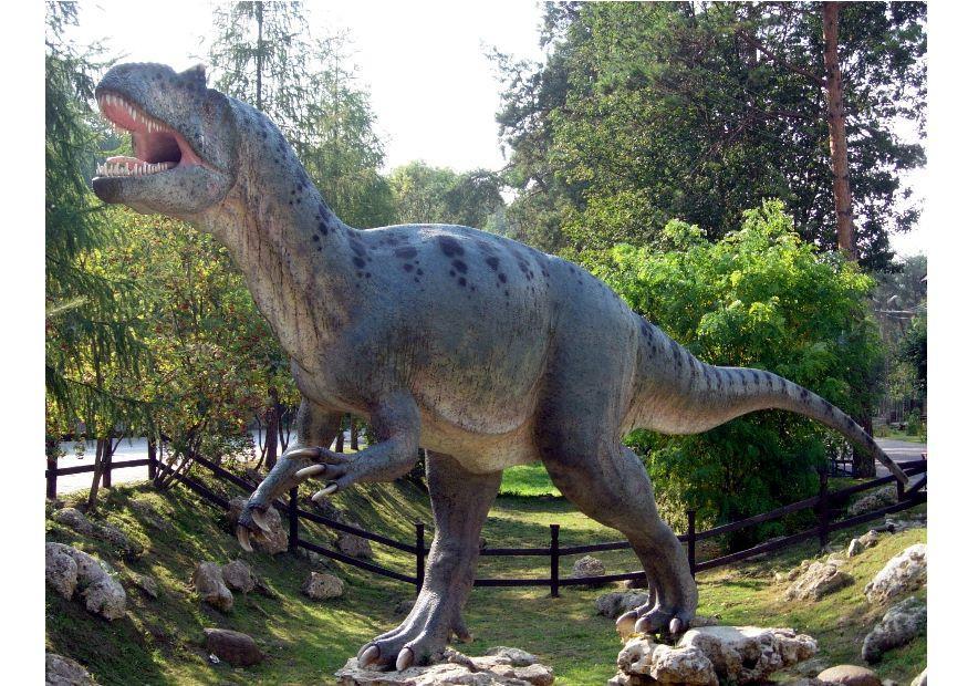 Photo allosaur replica