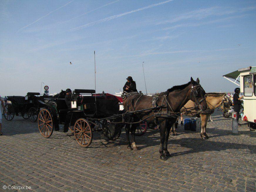 Photo carriage