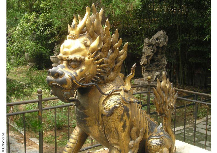 Photo dragon, forbidden city