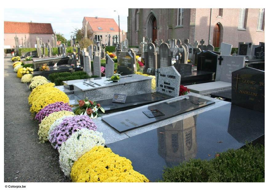 Photo flowers in graveyard