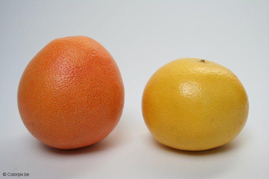 Photo grapefruits