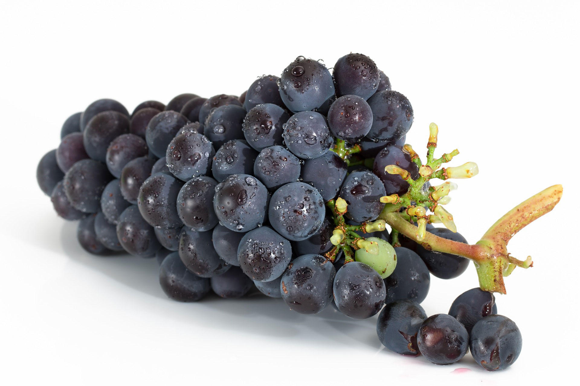 Photo grapes