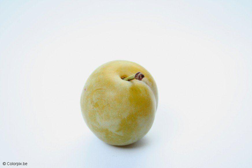 Photo greengage plum