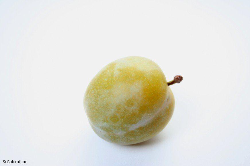 Photo greengage plum