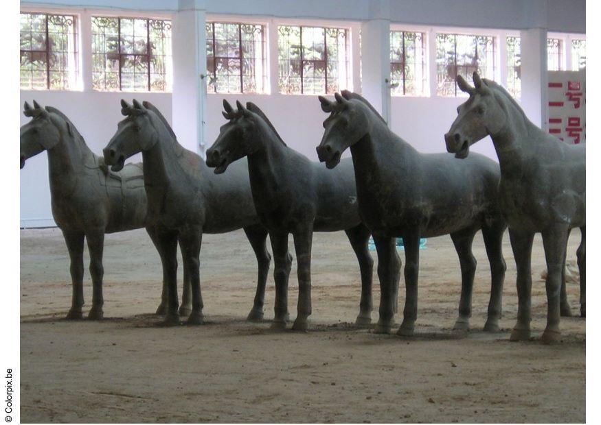 Photo horse statues, xian