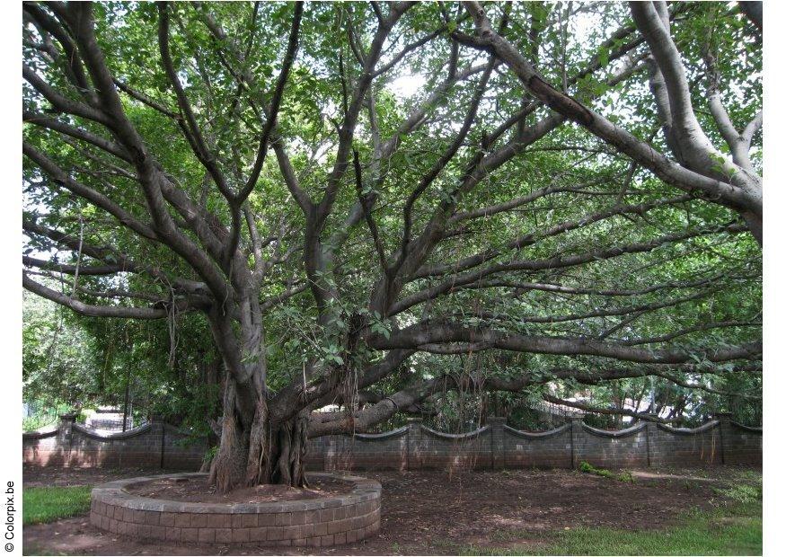 Photo park puna, ghandi museum