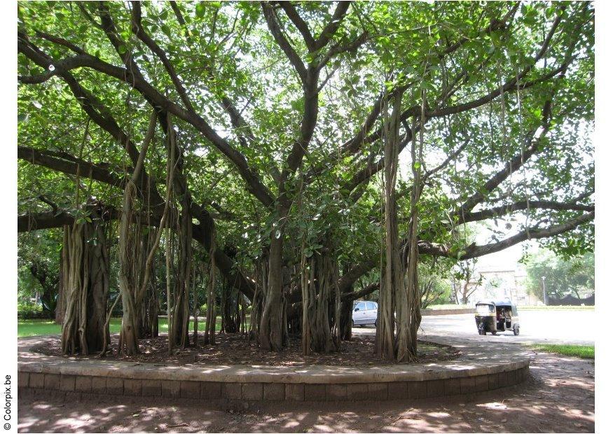 Photo park puna, ghandi museum