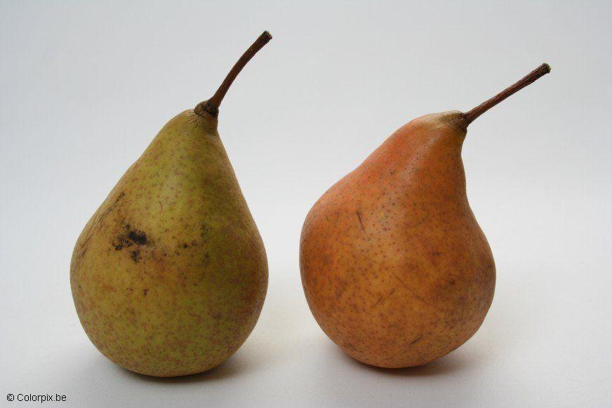 Photo pears