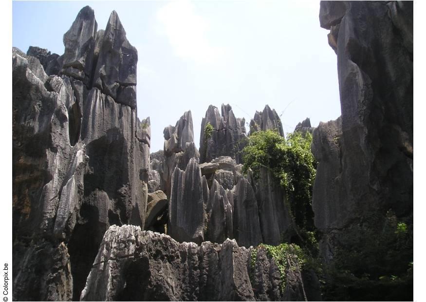 Photo petrified forest, kunming 2