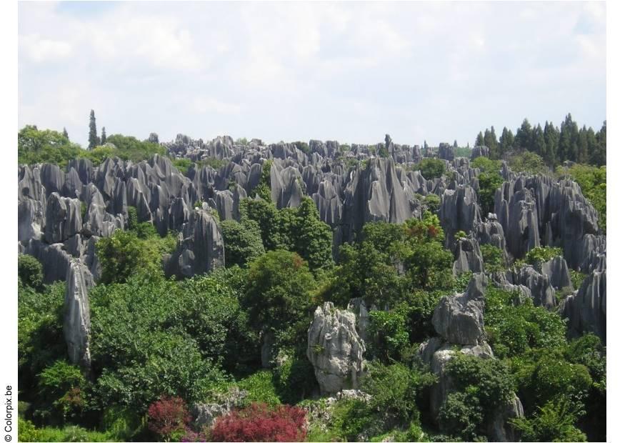 Photo petrified forest, kunming