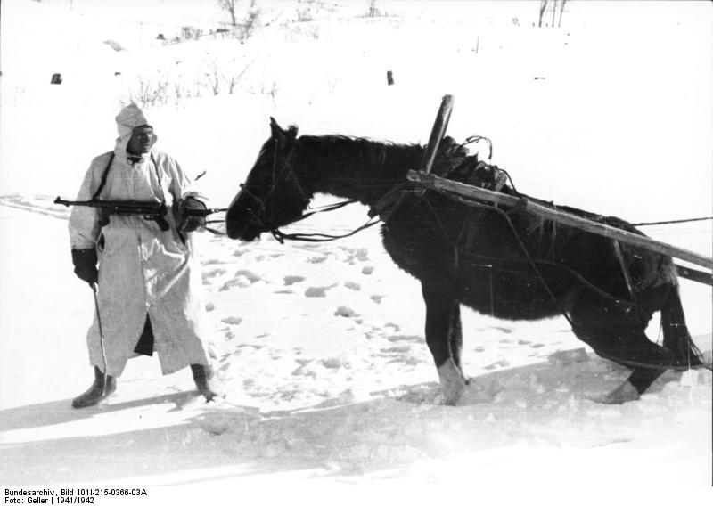 Photo russia - soldier with horse in winter